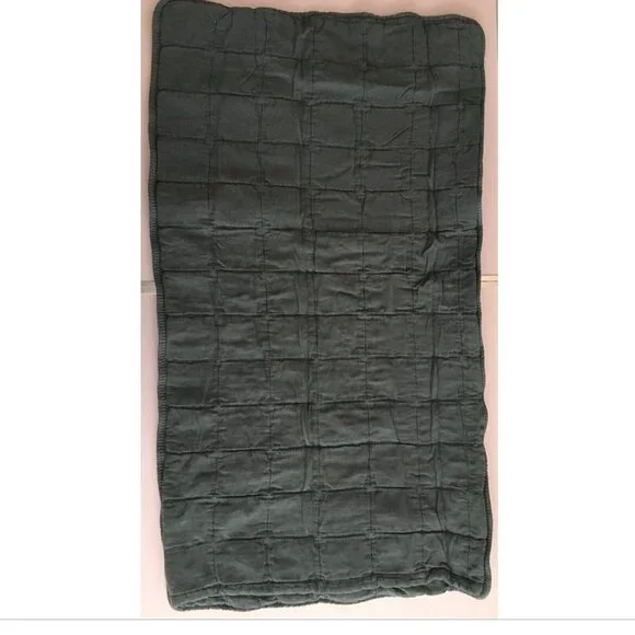 NEW Southern Living King Sham Cotton QUILTED Grayson Blue 20 x 36 MSRP $49 - Picture 4 of 4